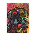 thumbnail image 1 of Trademark Fine Art Animals Canvas Art ' Clyde ' by Dean Rso, 1 of 3