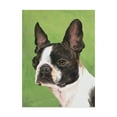 thumbnail image 1 of Trademark Fine Art Animals Canvas Art ' Dog Portrait Boston ' by Jill Sands, 1 of 4