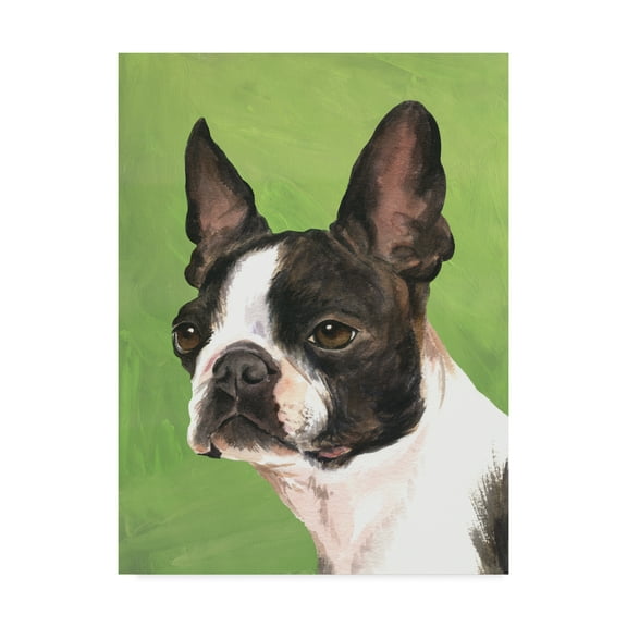 Trademark Fine Art Animals Canvas Art ' Dog Portrait Boston ' by Jill Sands