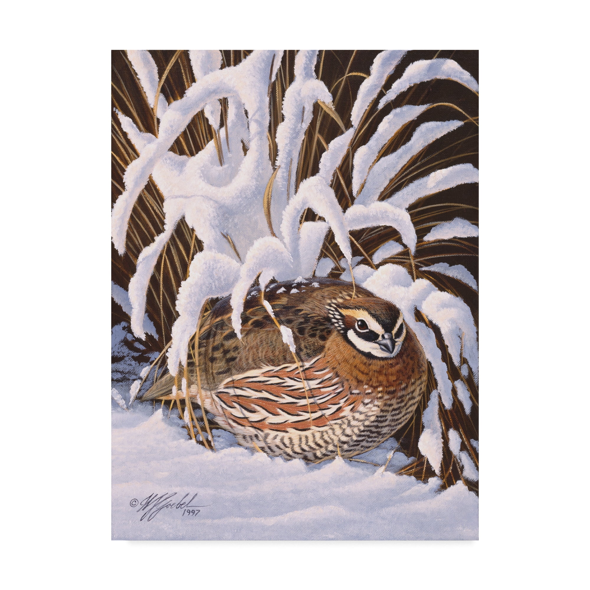 Trademark Fine Art Animals Canvas Art ' Hiding Quail ' by Wilhelm Goebel