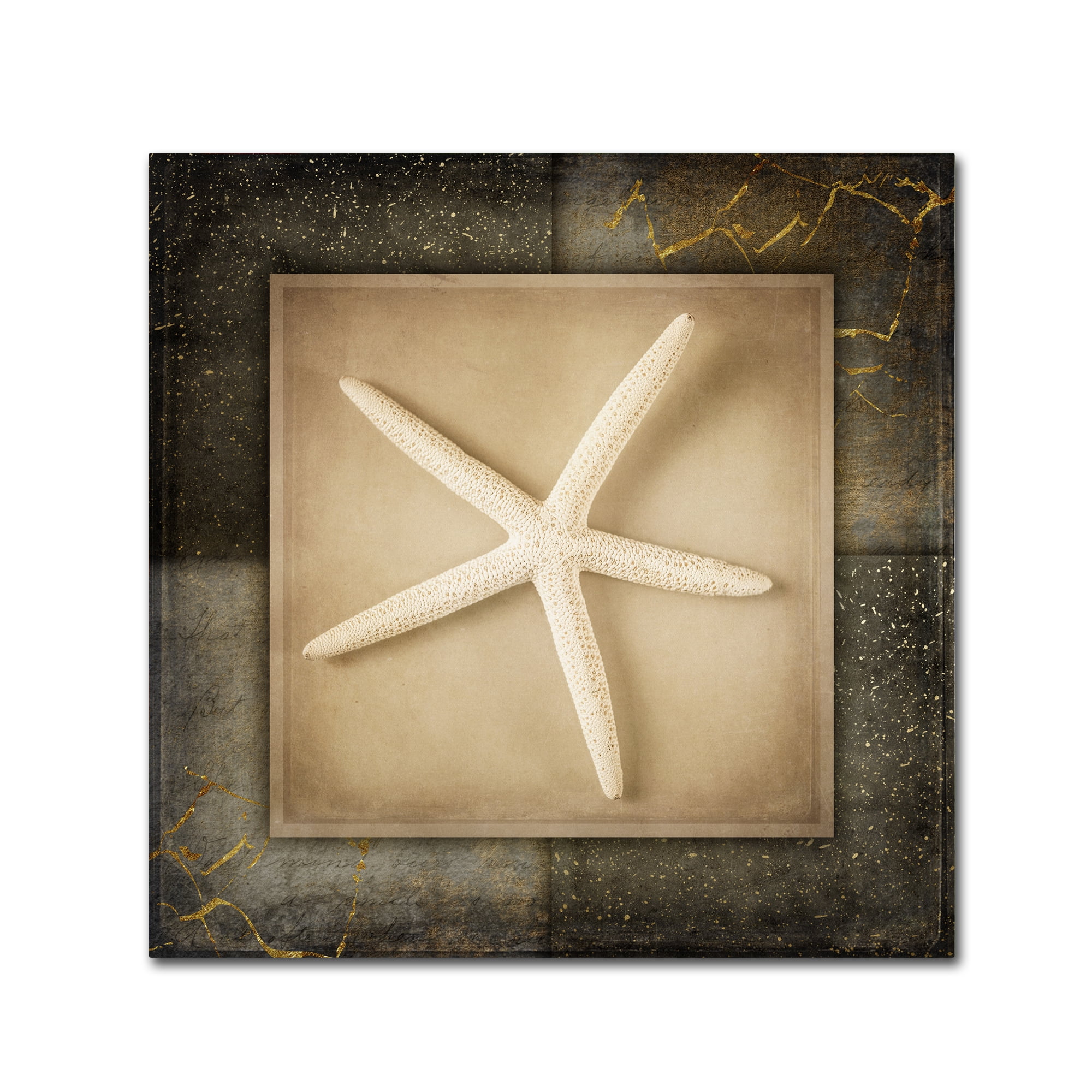 Trademark Fine Art Animals Canvas Art ' Light Gold Sea Warm 3 ' by LightBoxJournal