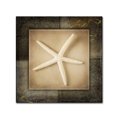 thumbnail image 1 of Trademark Fine Art Animals Canvas Art ' Light Gold Sea Warm 3 ' by LightBoxJournal, 1 of 3