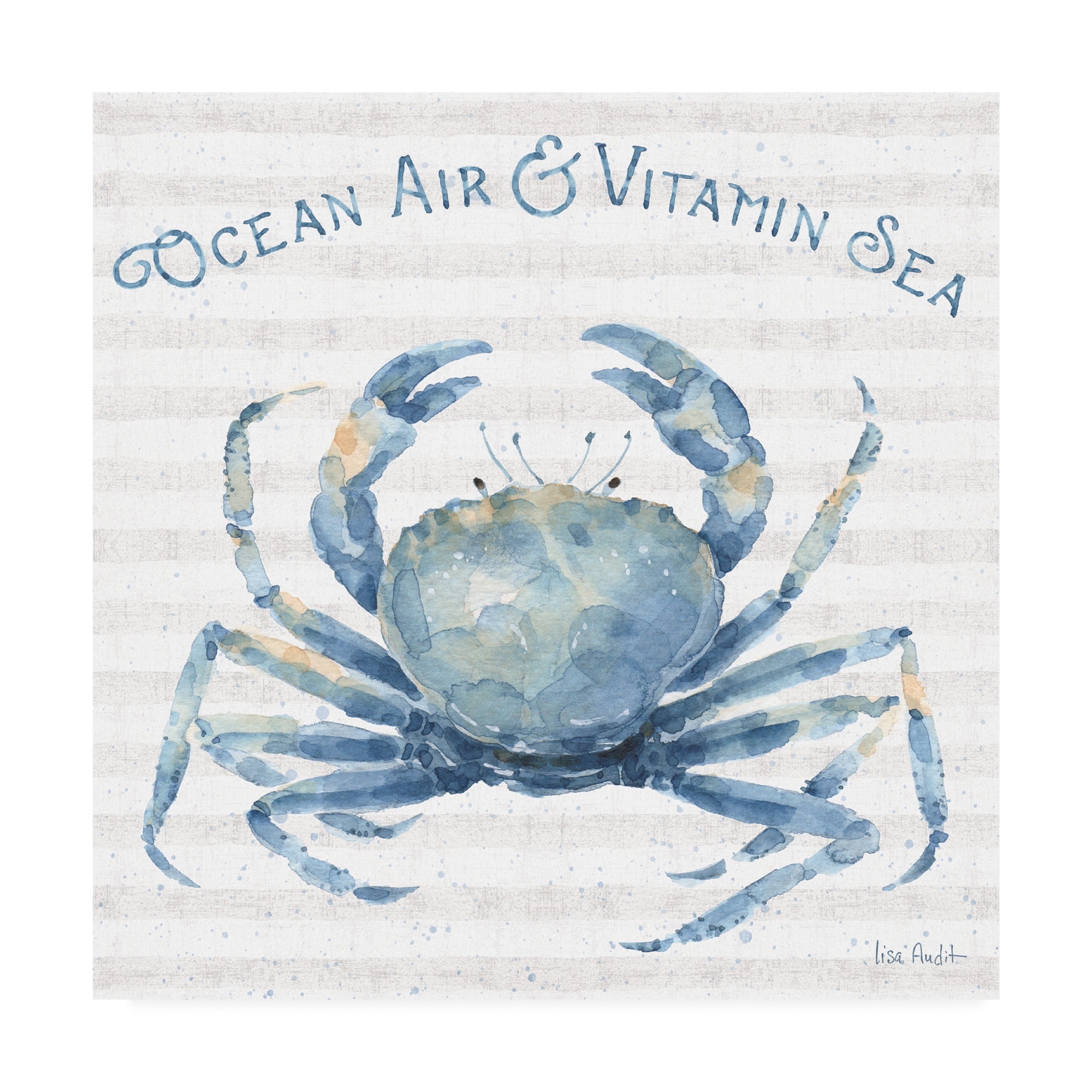 Trademark Fine Art Animals Canvas Art ' Nautical Life X ' by Lisa Audit