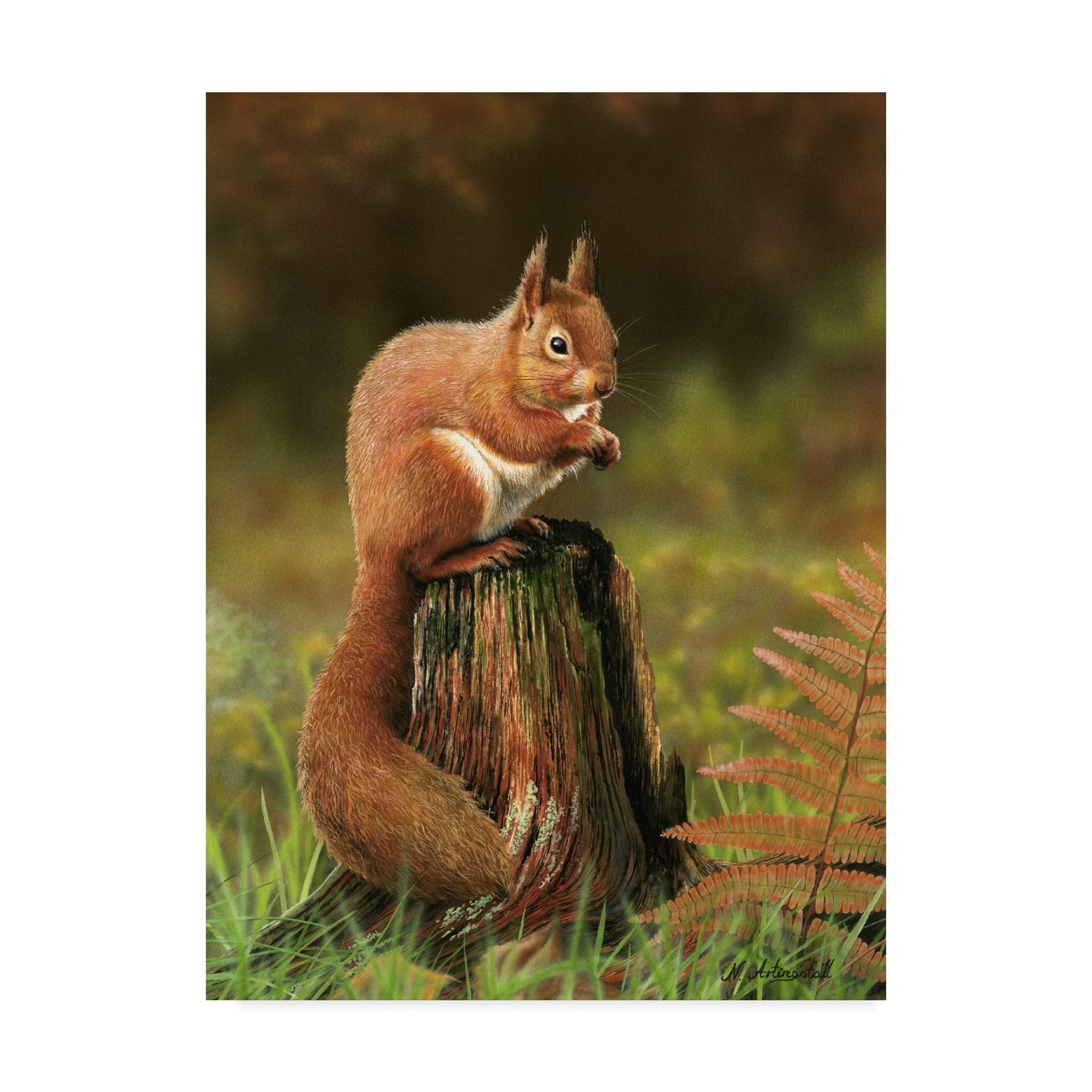 Trademark Fine Art Animals Canvas Art ' Red Squirrel On Stump ' by Nigel Artingstall