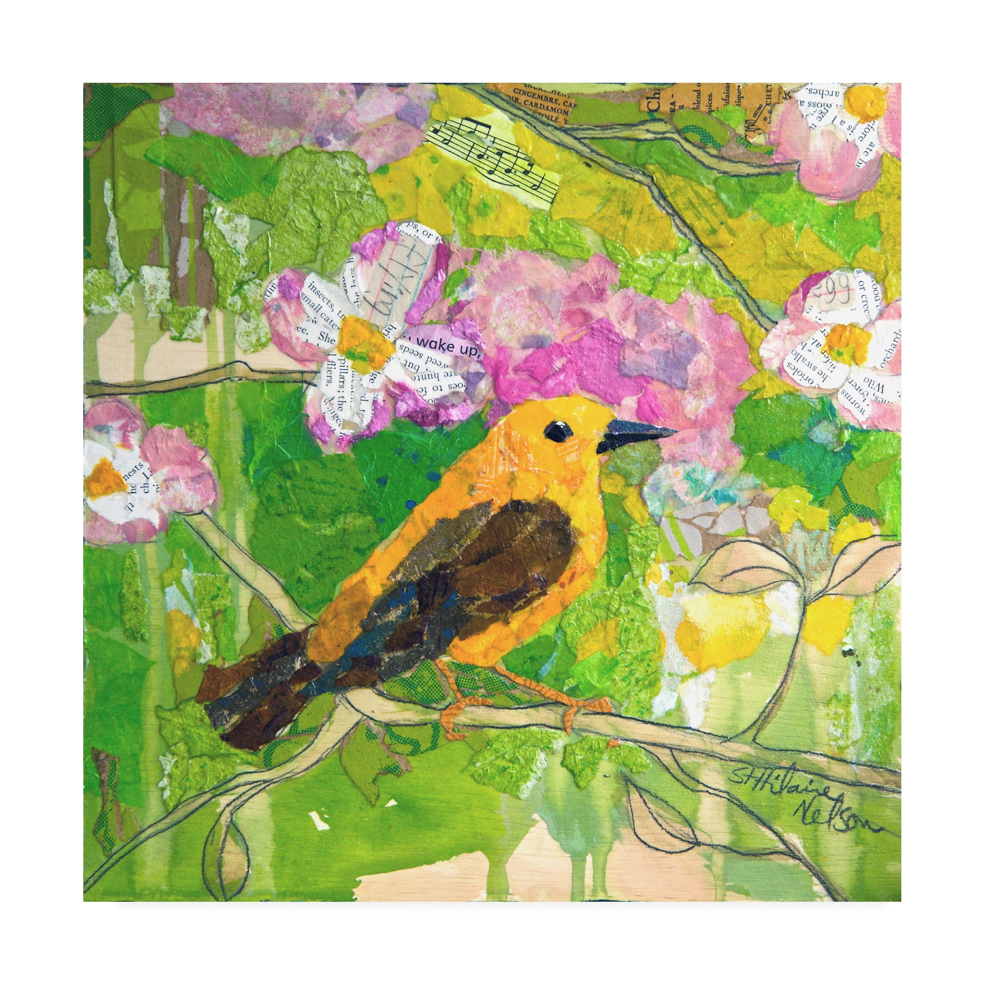 Trademark Fine Art Animals Canvas Art ' Signs Of Spring Ii ' by Elizabeth St. Hilaire