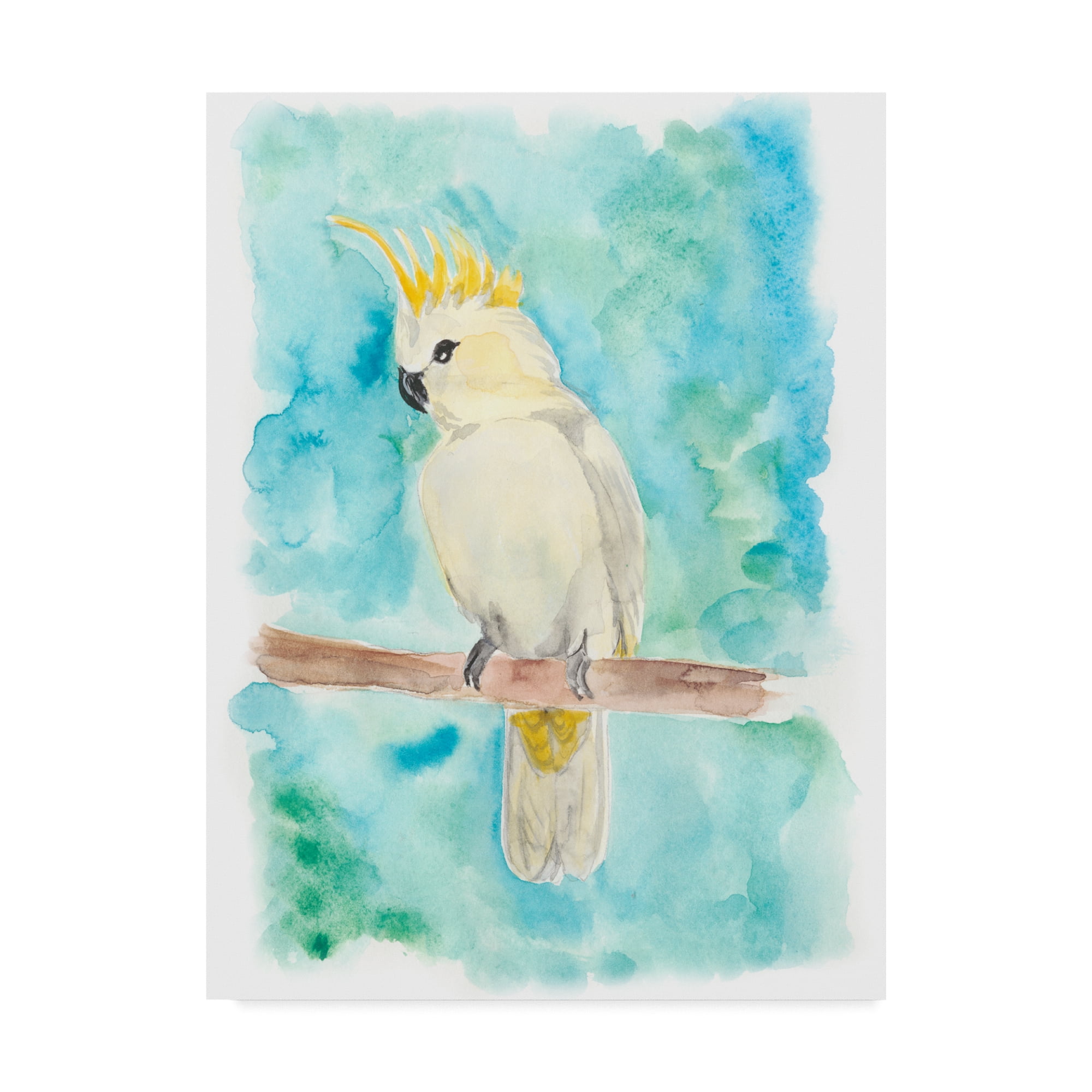 Trademark Fine Art Animals Canvas Art ' Sweet Tropical Bird Ii ' by Regina Moore