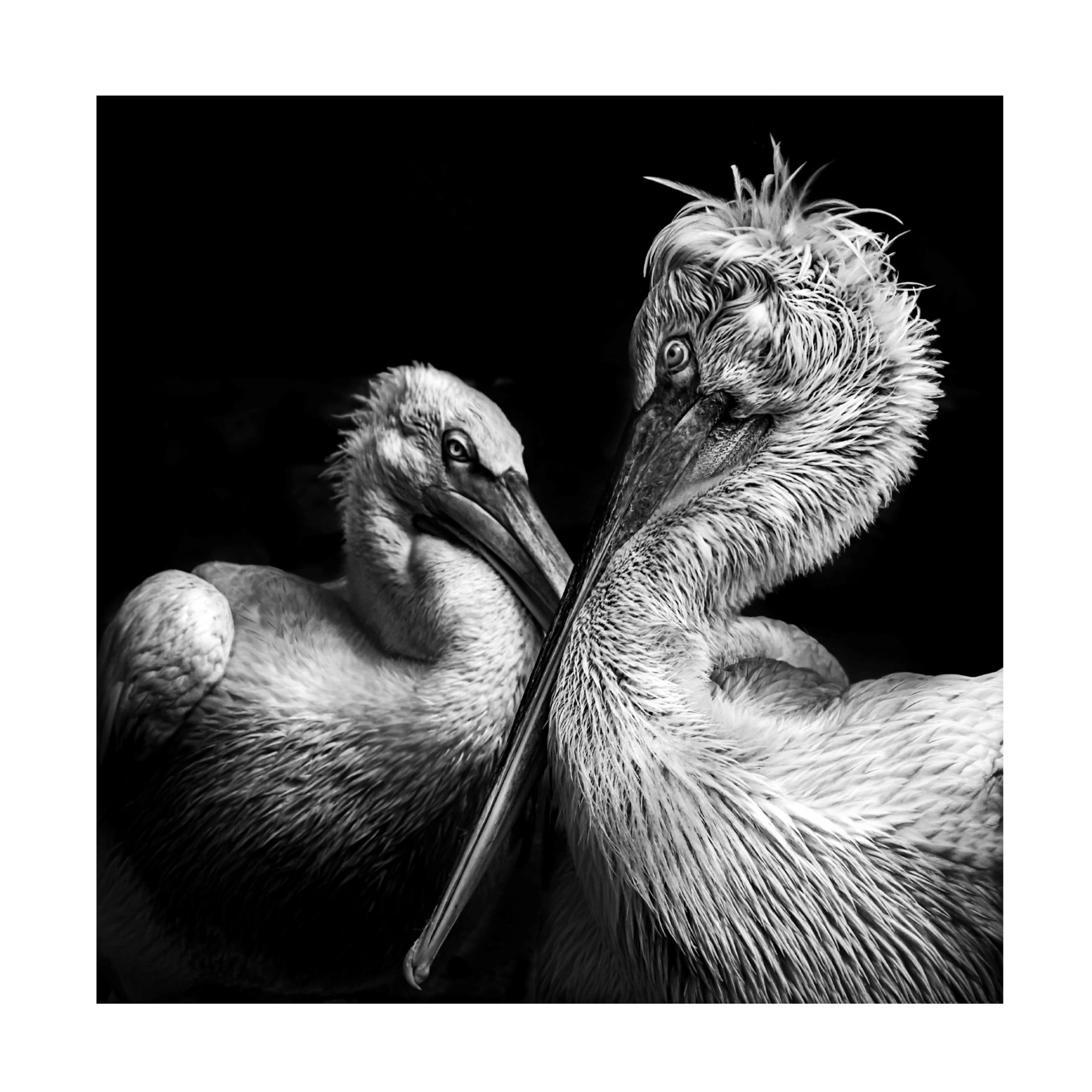 Trademark Fine Art Anita Singh  Crisscross Canvas Wall Art