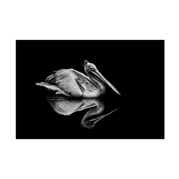 Trademark Fine Art Anita Singh Reflection Canvas Wall Art