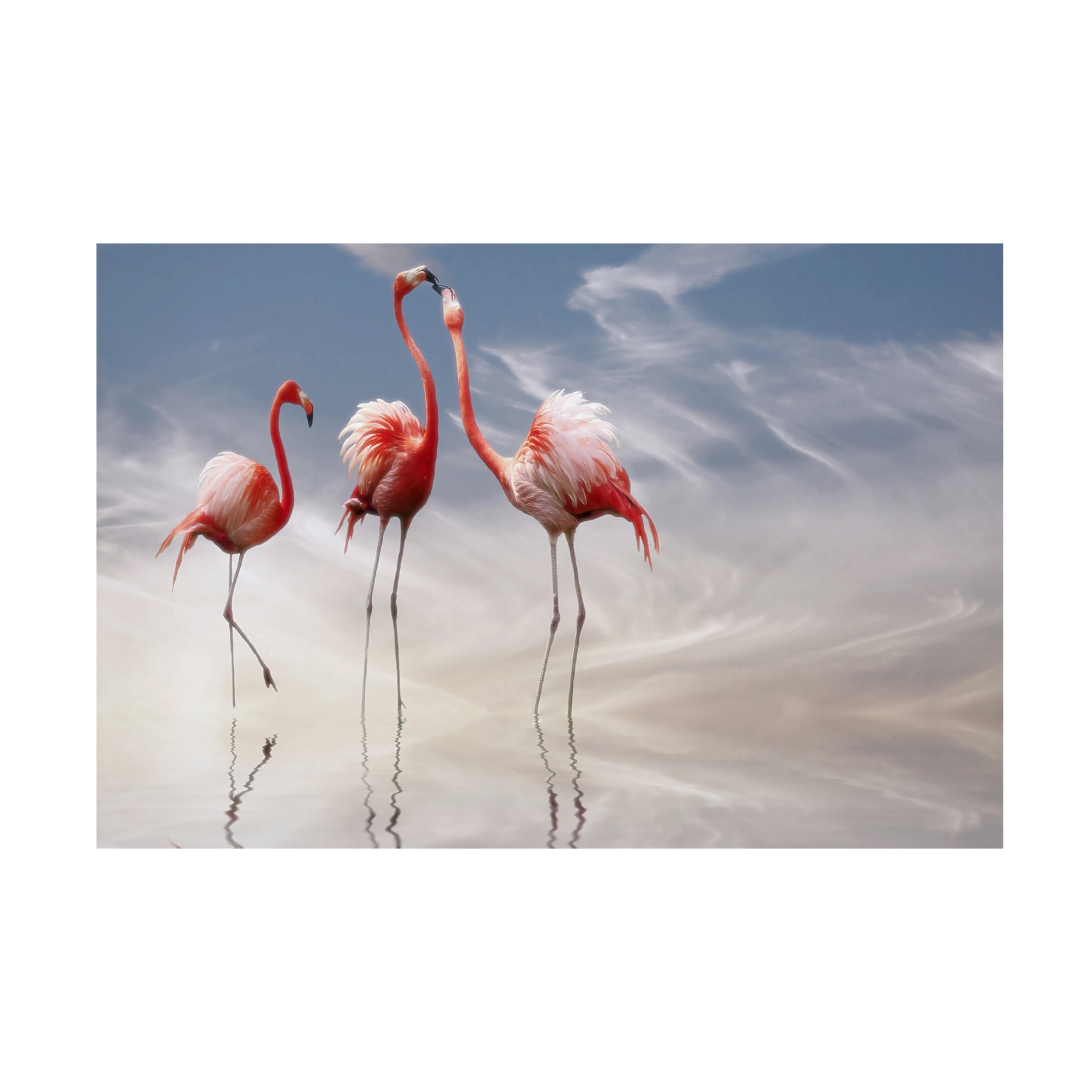 Trademark Fine Art Anna Cseresnjes  Flamingos Canvas Wall Art