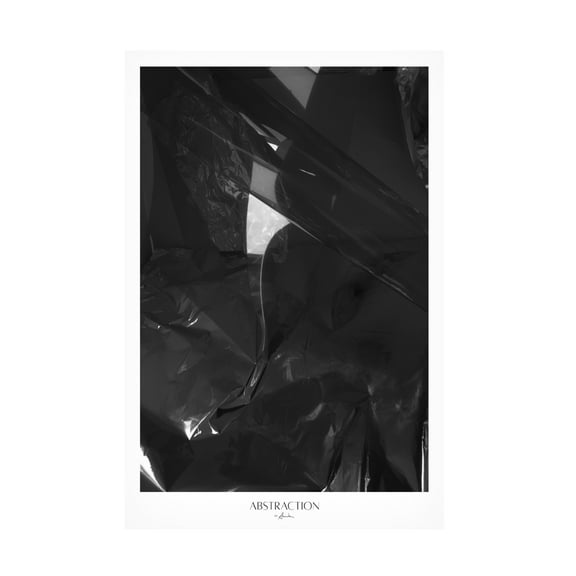 Trademark Fine Art Annika John Abstraction Canvas Wall Art