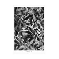 Trademark Fine Art Annika John FAbllesskab Canvas Wall Art