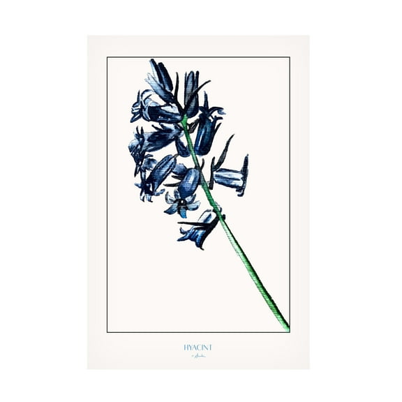 Trademark Fine Art Annika John Hyacint Canvas Wall Art