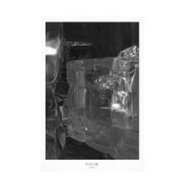 Trademark Fine Art Annika John Icecube Canvas Wall Art