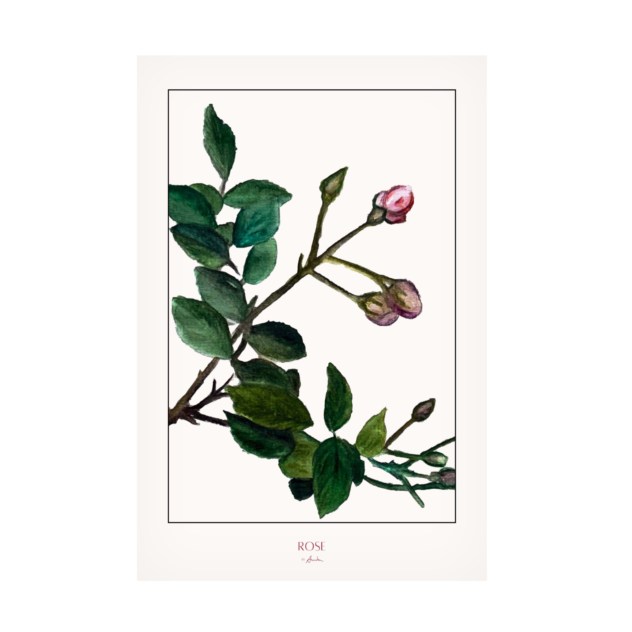 Trademark Fine Art Annika John  Rose Canvas Wall Art