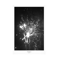 Trademark Fine Art Annika John Sparked Canvas Wall Art