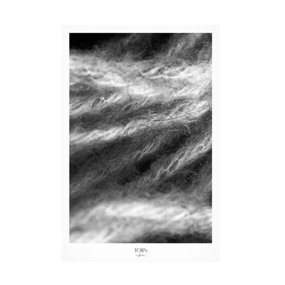 Trademark Fine Art Annika John Torn Canvas Wall Art