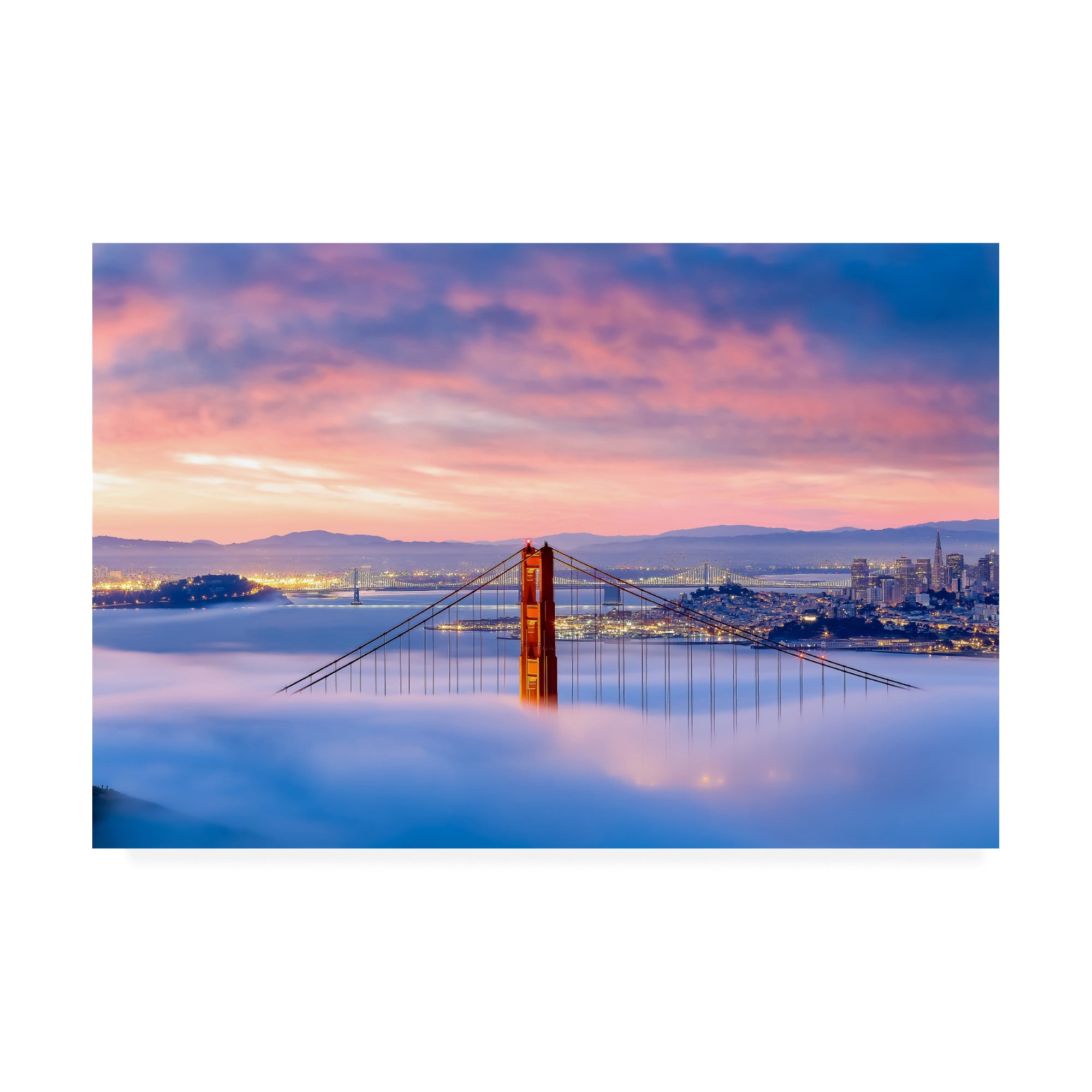 Trademark Fine Art 'Anomaly' Canvas Art by Dave Gordo