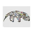 thumbnail image 1 of Trademark Fine Art 'Anteater' Canvas Art by Louise Tate, 1 of 3