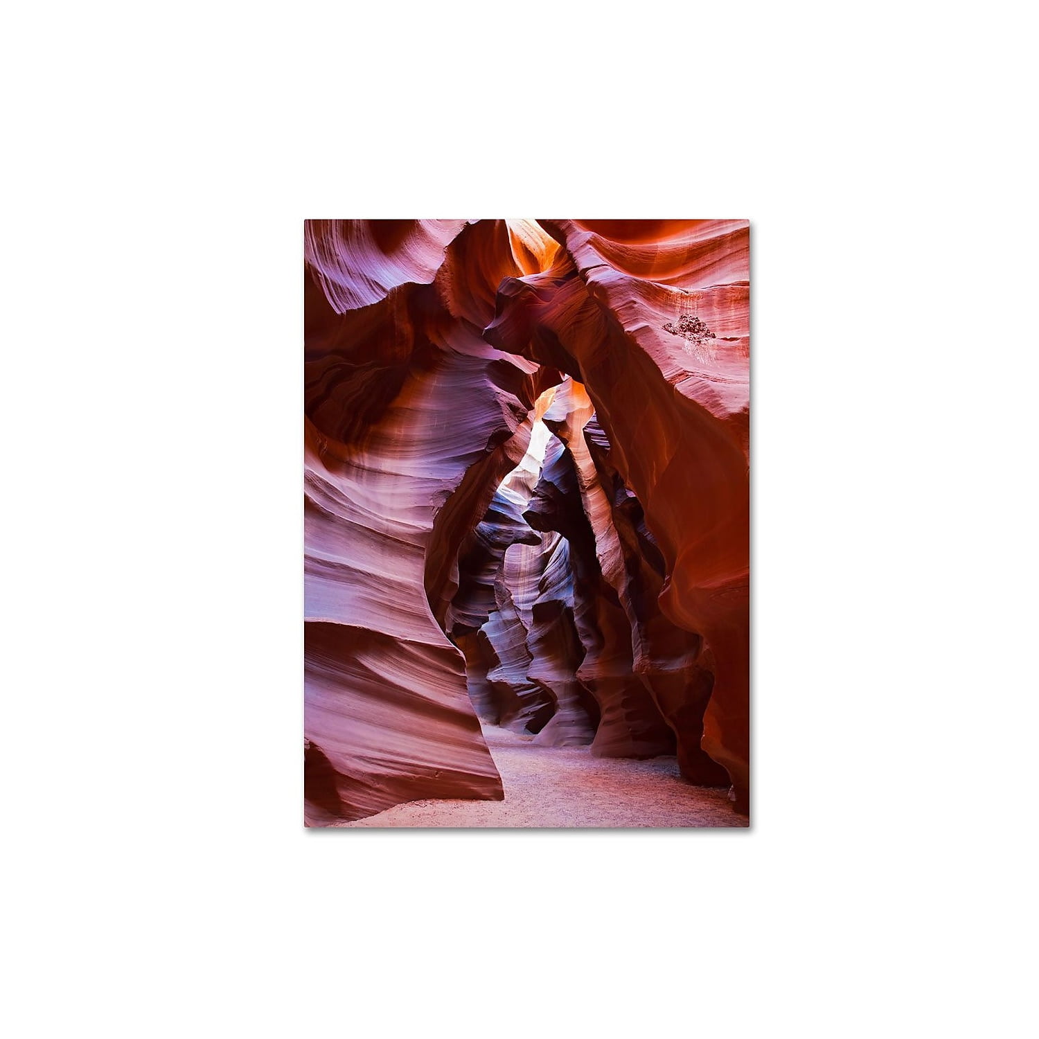 Trademark Fine Art 'Antelope' 16" x 24" Canvas Art (PL0006-C1624GG)