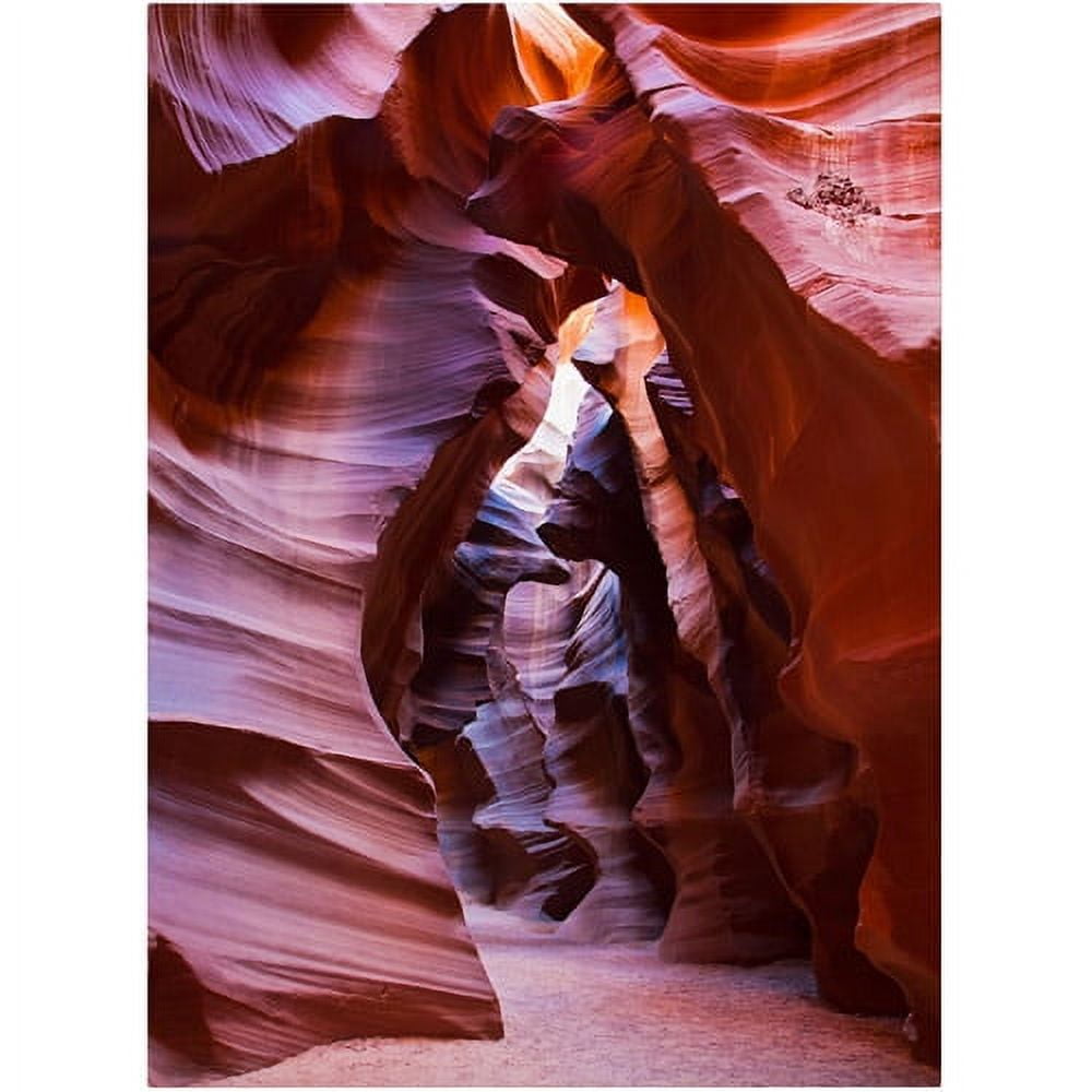 Trademark Fine Art 'Antelope' 30" x 47" Canvas Art
