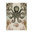 thumbnail image 1 of Trademark Fine Art 'Antiquarian Menagerie Octopus' Canvas Art by Naomi McCavitt, 1 of 4