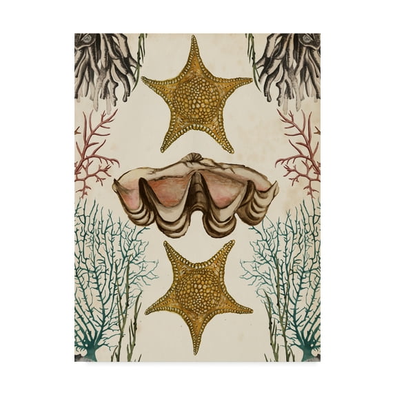 Trademark Fine Art 'Antiquarian Menagerie Starfish' Canvas Art by Naomi McCavitt