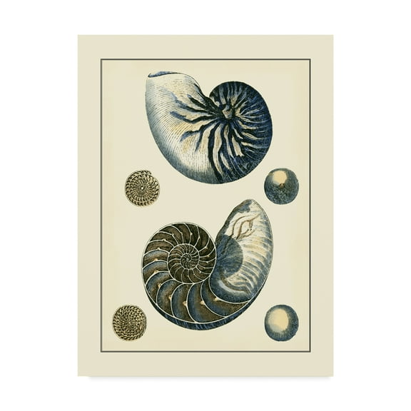 Trademark Fine Art 'Antique Blue Nautilus' Canvas Art by Vision Studio