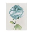 thumbnail image 1 of Trademark Fine Art 'Antique Floral on Cream II Blue' Canvas Art by Wild Apple Portfolio, 1 of 4