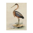thumbnail image 1 of Trademark Fine Art 'Antique Heron II' Canvas Art by Unknown, 1 of 4