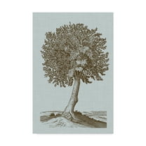 Trademark Fine Art 'Antique Tree in Sepia I' Canvas Art by Vision Studio