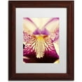 thumbnail image 1 of Trademark Fine Art 'Antiqued Iris' Canvas Art by PIPA Fine Art, White Matte, Wood Frame, 1 of 4