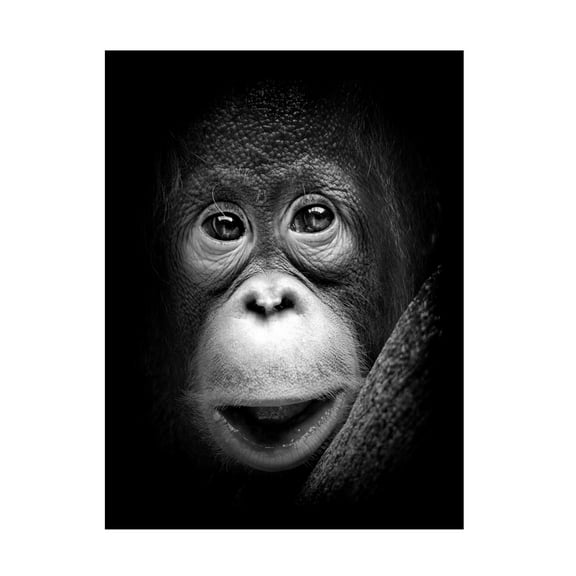 Trademark Fine Art Antonyus Bunjamin Innocent Canvas Wall Art