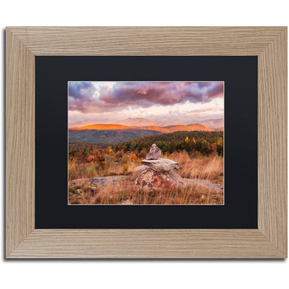 Trademark Fine Art "Apex" Canvas Art by Michael Blanchette Photography Black Matte, Birch Frame