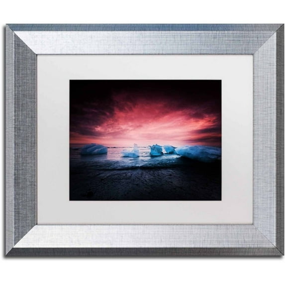 Trademark Fine Art 'Apocalyptic Beauty' Canvas Art by Philippe Sainte-Laudy, White Matte, Silver Frame