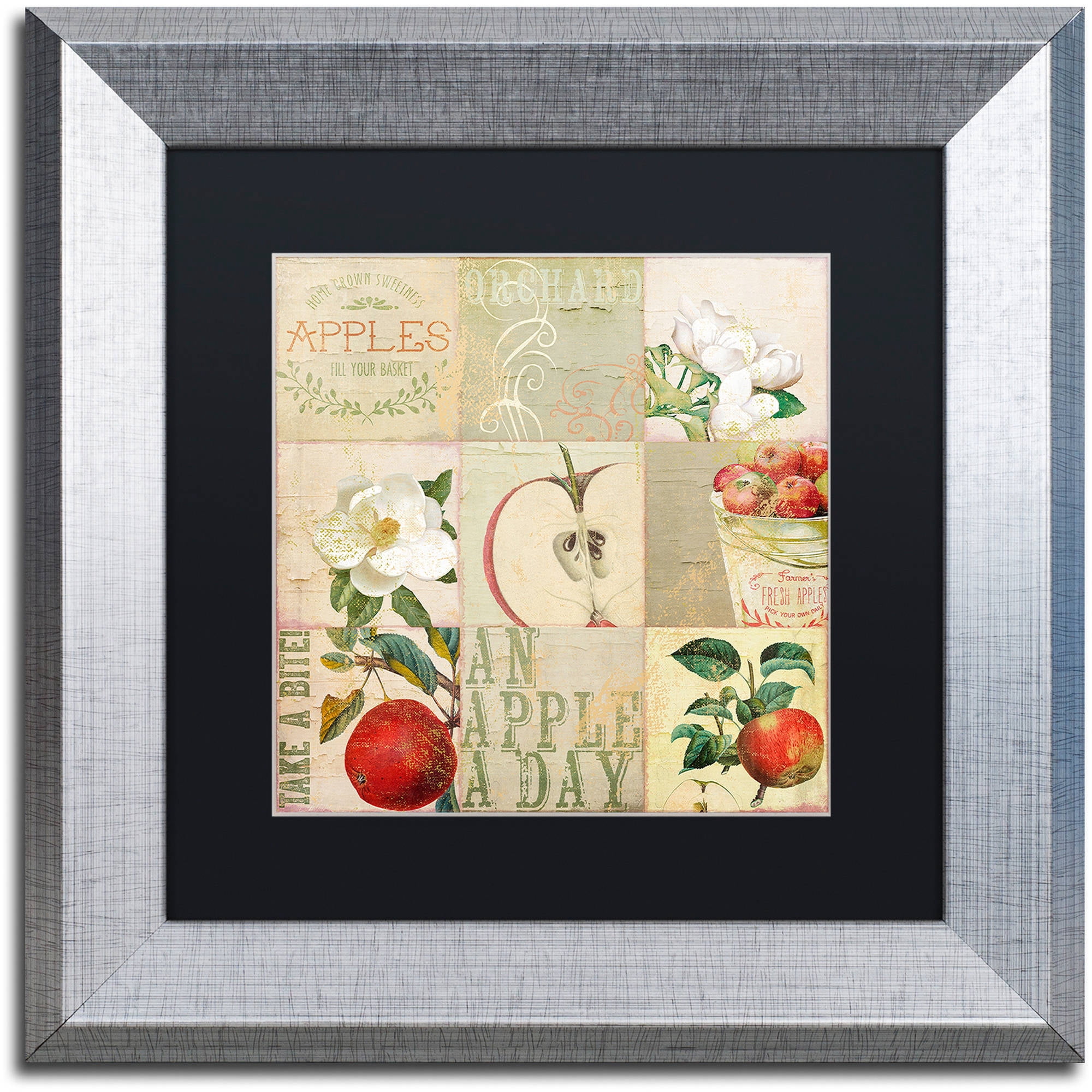 Trademark Fine Art "Apple Blossoms III" Canvas Art by Color Bakery Black Matte, Silver Frame