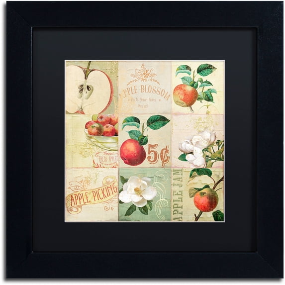Trademark Fine Art "Apple Blossoms IV" Canvas Art by Color Bakery Black Matte, Black Frame