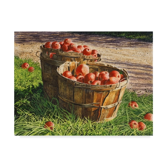 Trademark Fine Art 'Apple Bushels' Canvas Art by Michael Davidoff