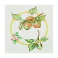 thumbnail image 1 of Trademark Fine Art 'Apple Cycle' Canvas Art by Deborah Kopka, 1 of 3