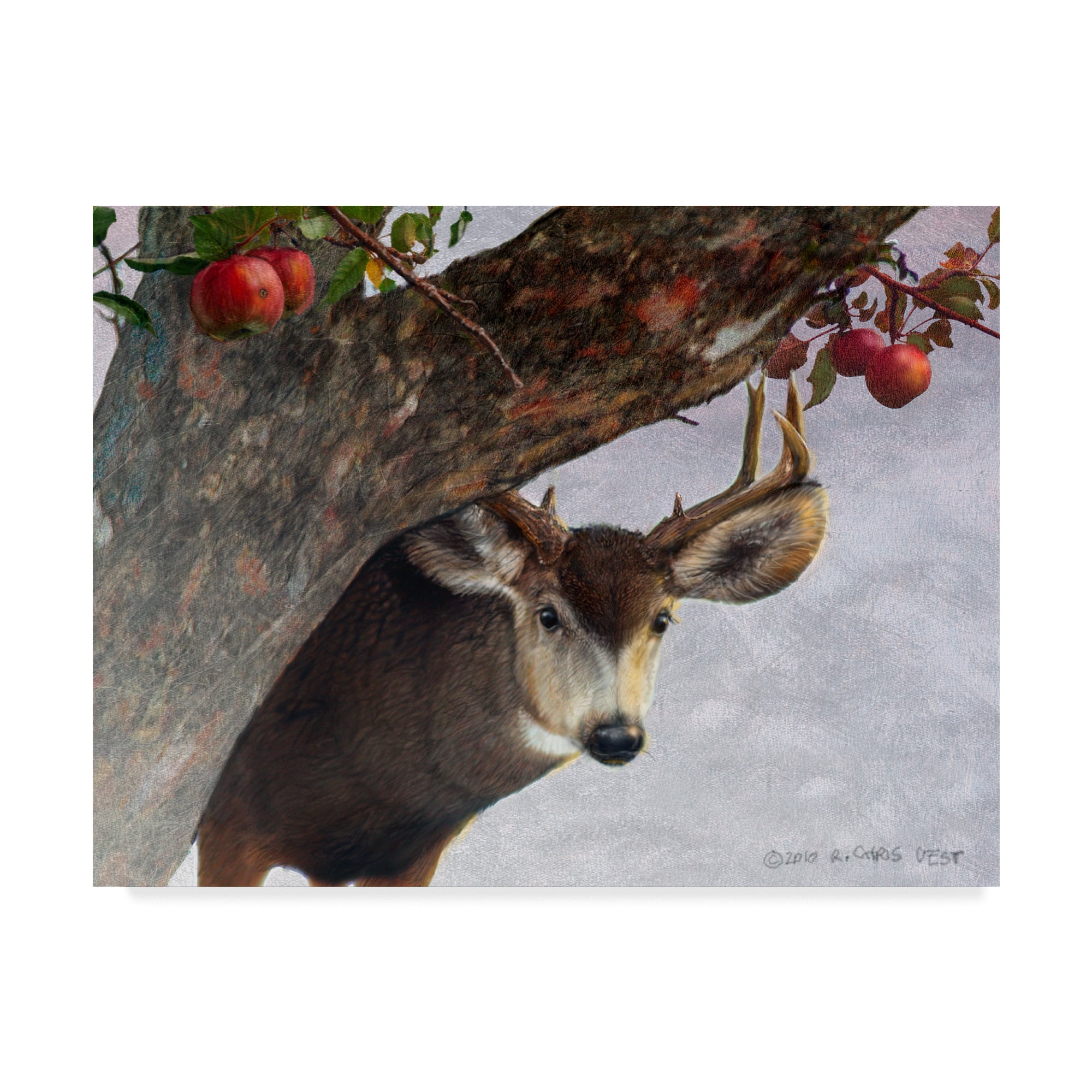 Trademark Fine Art 'Apple Deer' Canvas Art by Chris Vest