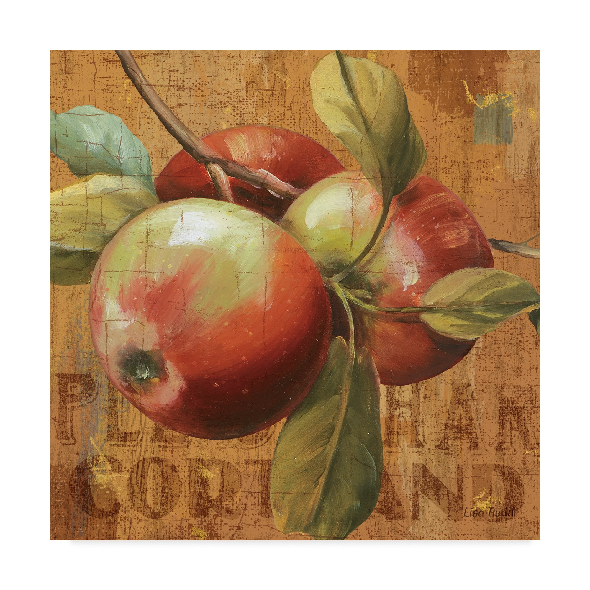 Trademark Fine Art 'Apple Season I' Canvas Art by Lisa Audit