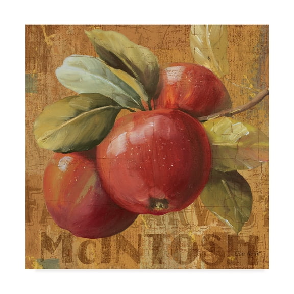Trademark Fine Art 'Apple Season II' Canvas Art by Lisa Audit