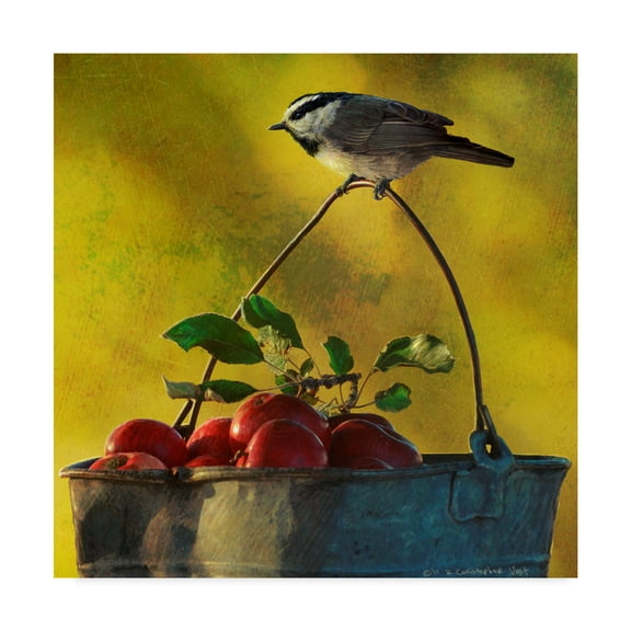 Trademark Fine Art 'Apples And Chickadee' Canvas Art by Chris Vest