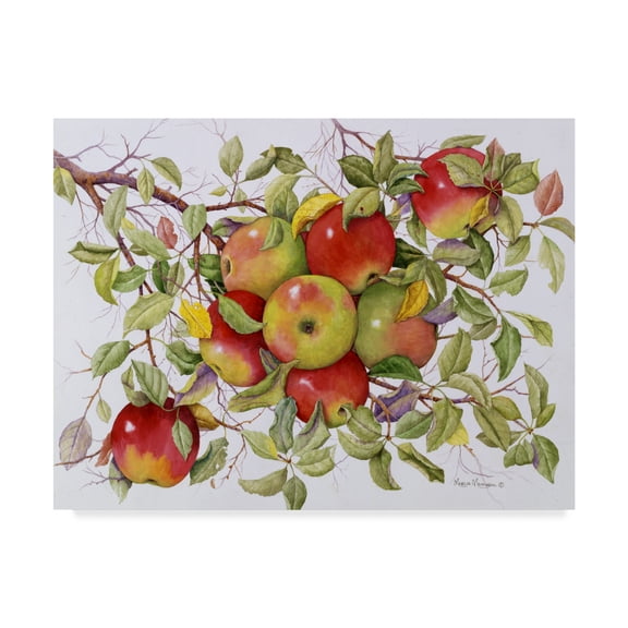 Trademark Fine Art 'Apples On A Branch' Canvas Art by Marcia Matcham
