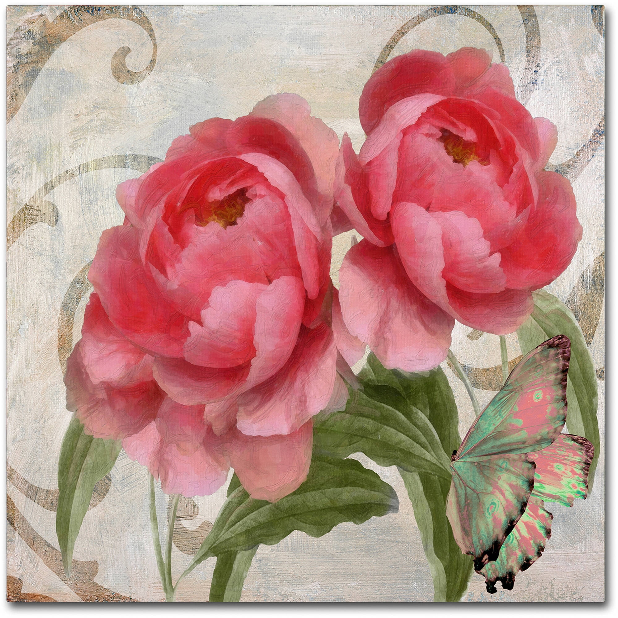 Trademark Fine Art "Apricot Peonies I" Canvas Art by Color Bakery