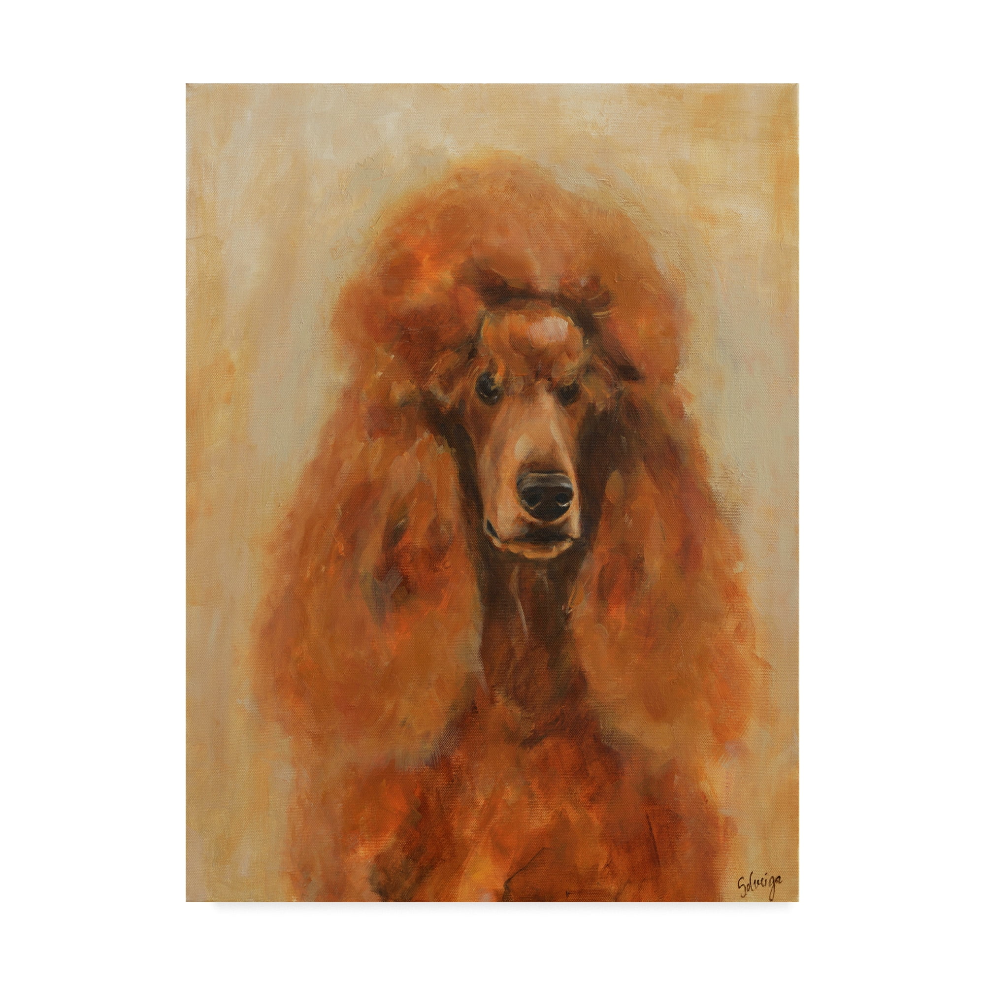Trademark Fine Art 'Apricot Poodle' Canvas Art by Solveiga