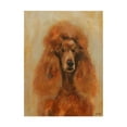 thumbnail image 1 of Trademark Fine Art 'Apricot Poodle' Canvas Art by Solveiga, 1 of 3