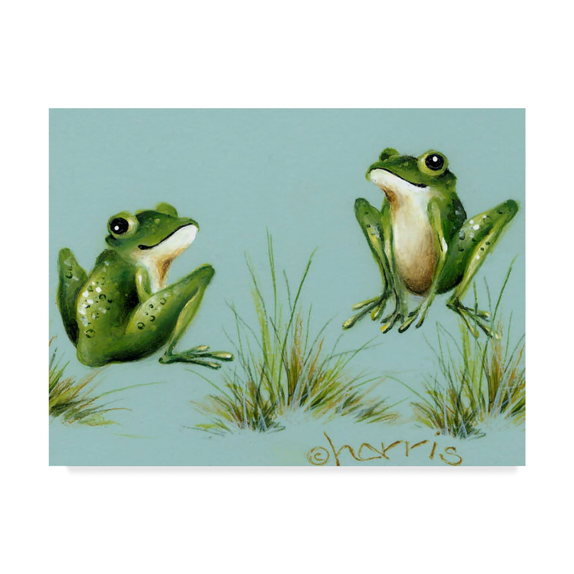 Trademark Fine Art 'April Showers Frogs With Grass' Canvas Art by Peggy Harris