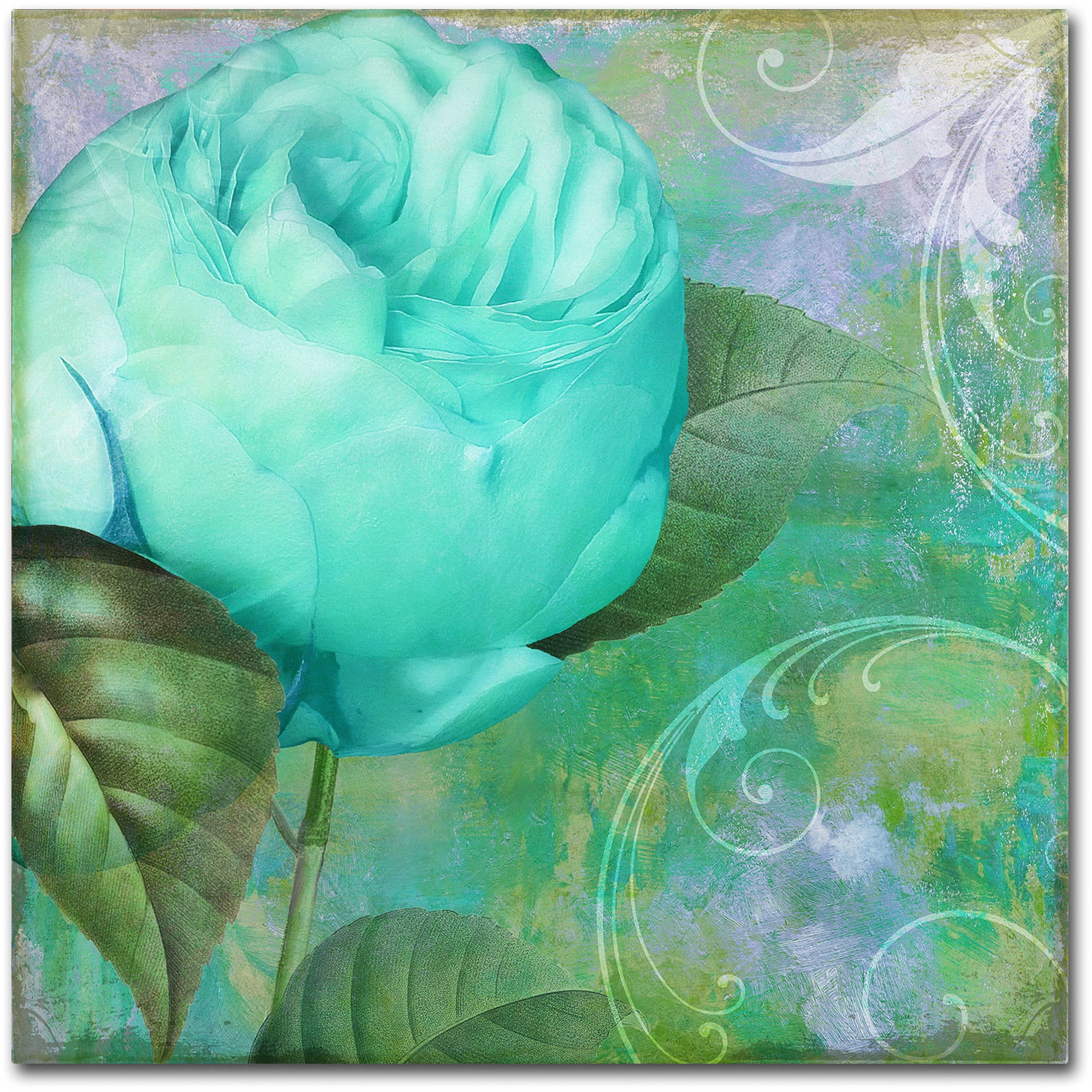 Trademark Fine Art "Aqua Rose I" Canvas Art by Color Bakery