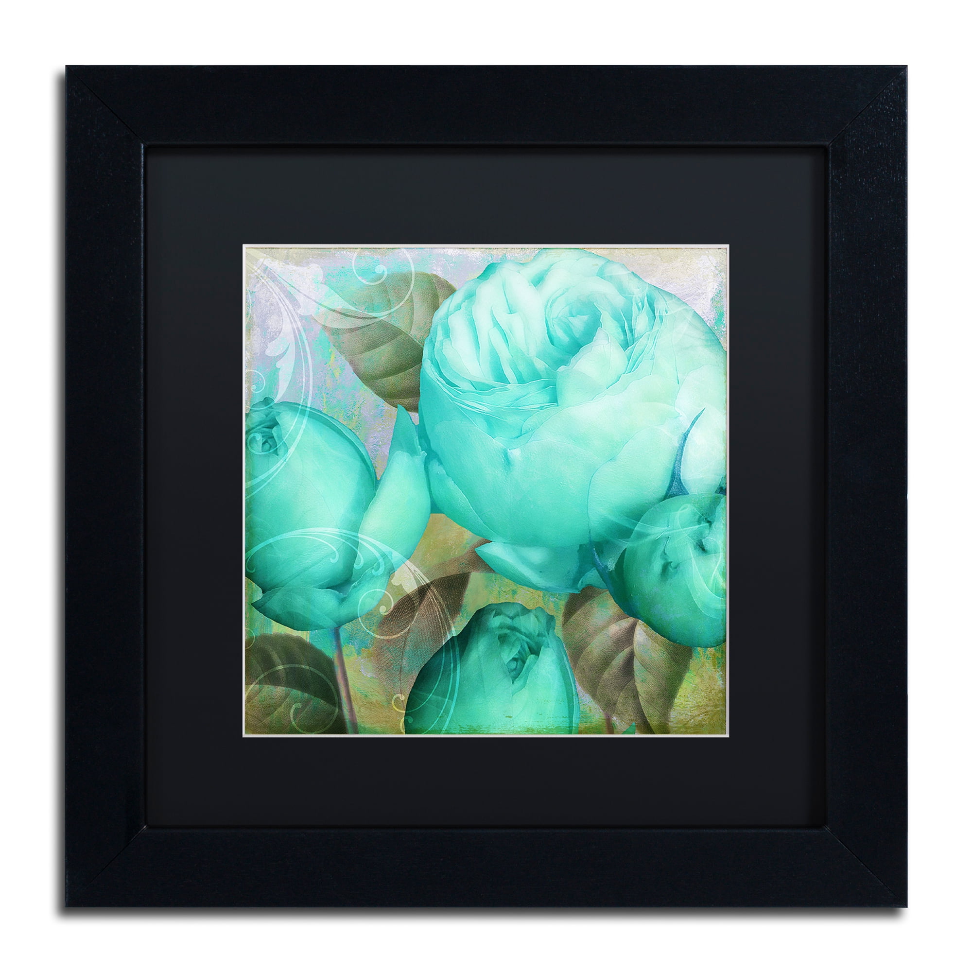 Trademark Fine Art 'Aqua Rose II' Black Framed Art by Color Bakery