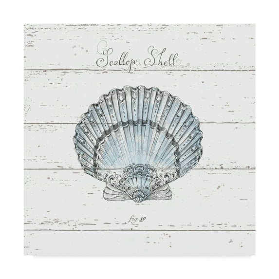 Trademark Fine Art 'Aqua Underwater Life II' Canvas Art by Daphne Brissonnet